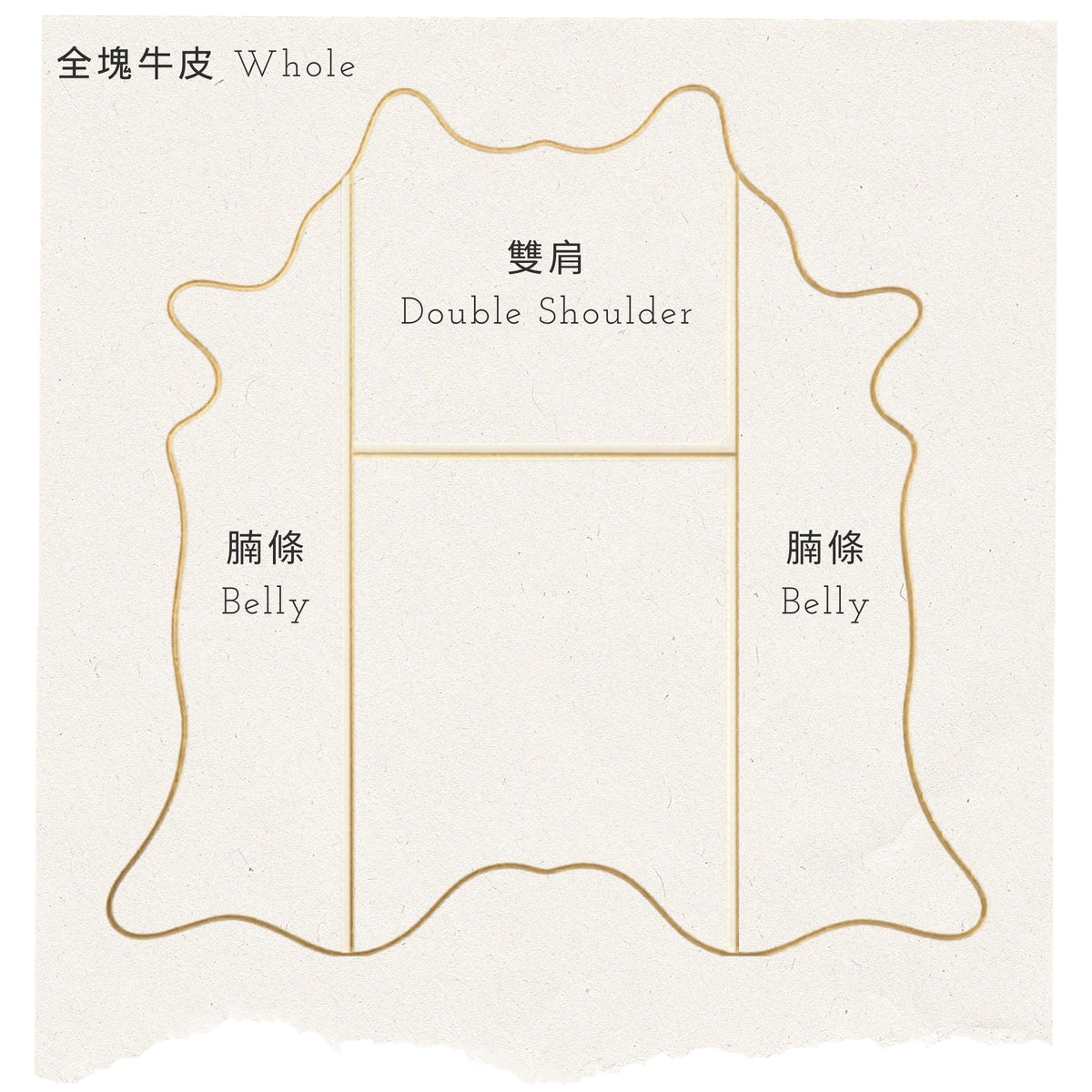 牛皮分佈位置—雙肩及腩條