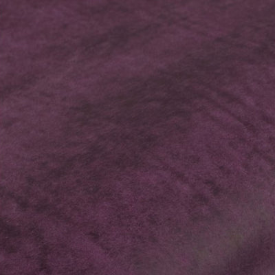 08 - Purple