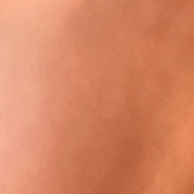 13 - Shrimp Pink